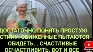 пошла жара,высаживаю томаты/ наверное замерзли они/ что делать с остальными