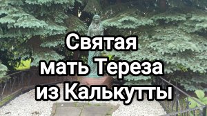 Святая мать Тереза из Калькутты