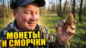 Накопал старинных монет и насобирал весенних грибов. Сморчки с металлоискателем