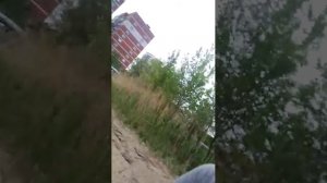 до бейте 250 подписчиков