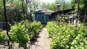 Из мегаполиса – в деревню