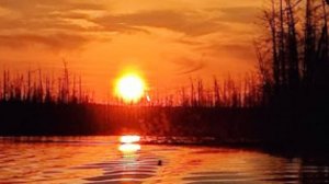 Отличный отдых на природе и не только.