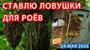 ПОСТАВИЛ ЛОВУШКИ ДЛЯ РОЁВ