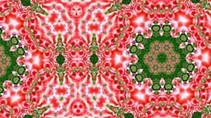 Футажи!!! Видеофоны!!! Футаж Феерия из Роз 5 от Киностудии Мудрого Кота Тимофея!!!