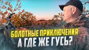 ГДЕ ЖЕ ГУСЬ? // БОЛОТНЫЕ ПРИКЛЮЧЕНИЯ ПРОДОЛЖАЮТСЯ