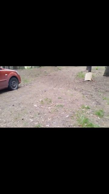 стрельба из лука смотреть онлайн