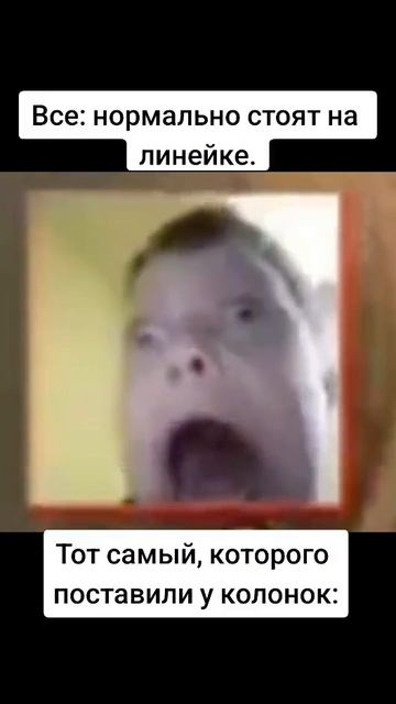 Жиза на линейке