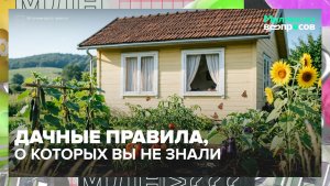 Можно ли шуметь ночью на даче? Юрист рассказала о главных правилах | Миллион вопросов