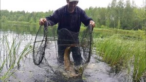 НЕВЕРОЯТНЫЕ ТРОФЕИ — ЛОВЛЯ ОГРОМНЫХ КАРАСЕЙ И ЩУК на ВЕРШУ