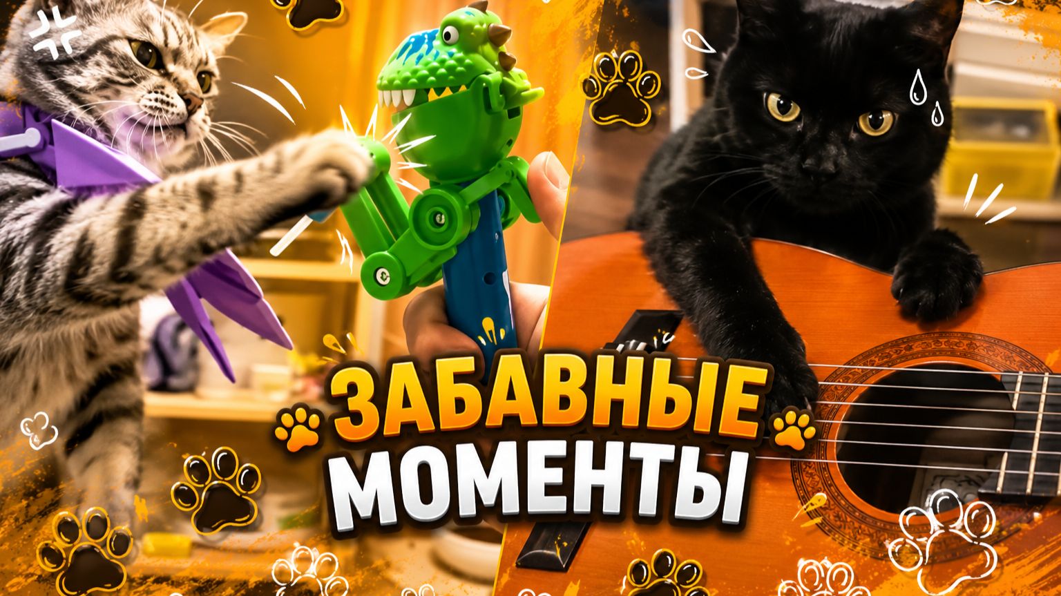 Лапки-Шоу #12 | Неудержимые котики