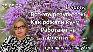1 часть. Вот это результаты❗️Как рожали кучу❓️Работают на таблетки 💊 ❗️
