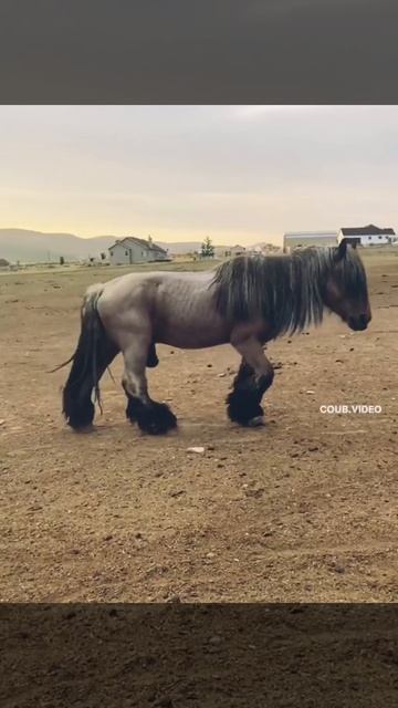 COOLCLIPS_157_подписывайся смотреть онлайн