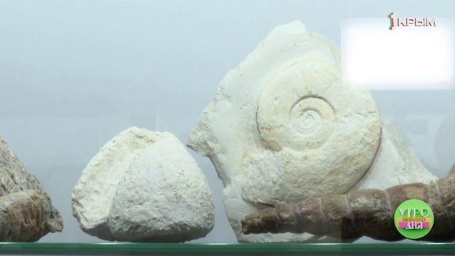 История в камне