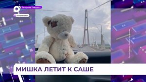Трогательная история о плюшевом мишке связала два конца России – Севастополь и Владивосток