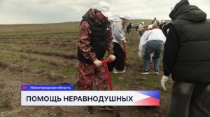 Тридцать эковолонтёров высадили молодые сосны в Володарском округе
