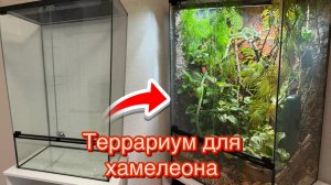 Террариум с живыми растениями для йеменского хамелеона
