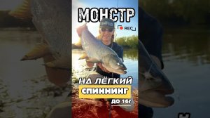 МОНСТР на легкий спиннинг  #norstream #fishing #рыбалка