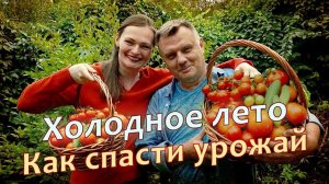 Холодное лето - Как спасти урожай