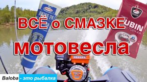 Всё о смазке мотовесла