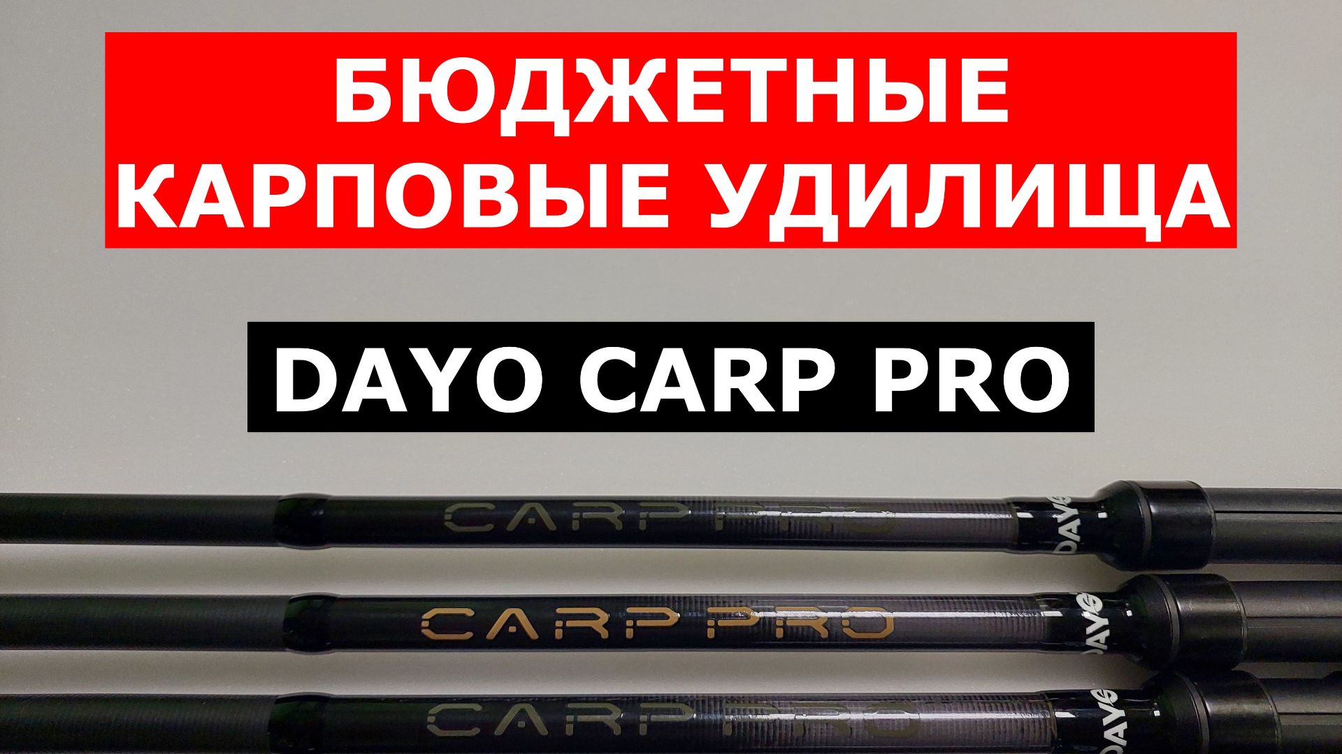БЮДЖЕТНЫЕ КАРПОВЫЕ УДИЛИЩА. ВЫБИРАЕМ КАРПОВИК. ОБЗОР КАРПОВЫХ УДИЛИЩ DAYO CARP PRO. смотреть онлайн
