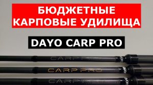 БЮДЖЕТНЫЕ КАРПОВЫЕ УДИЛИЩА. ВЫБИРАЕМ КАРПОВИК. ОБЗОР КАРПОВЫХ УДИЛИЩ DAYO CARP PRO.