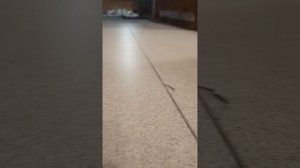VID_20260525_215731.mp4