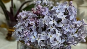 22-05-2026 Жизнь на Западном Урале обычной семьи!!!! Все боюсь,что не успею))) И куда тороплюсь.....