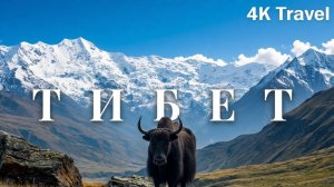 ТИБЕТ 4K | Жизнь на крыше мира | Документальный фильм. Дикая природа