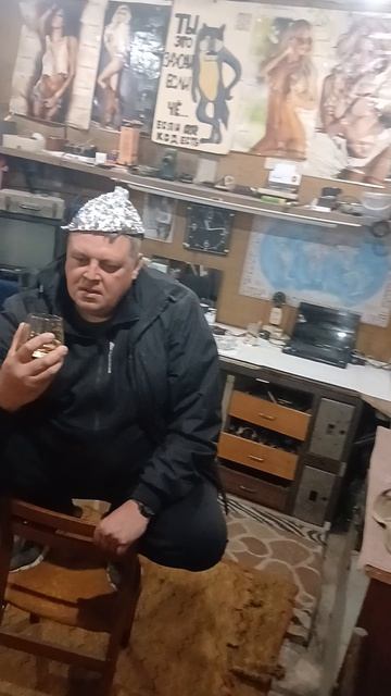 Споры порождает плесень
