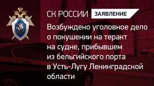 Возбуждено уголовное дело о покушении на теракт на судне, прибывшем в Усть-Лугу