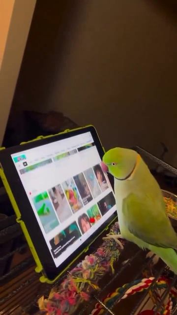 COOLCLIPS_020_подписывайся смотреть онлайн