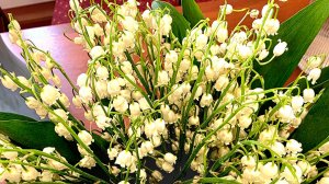 Ландыши - радость весны