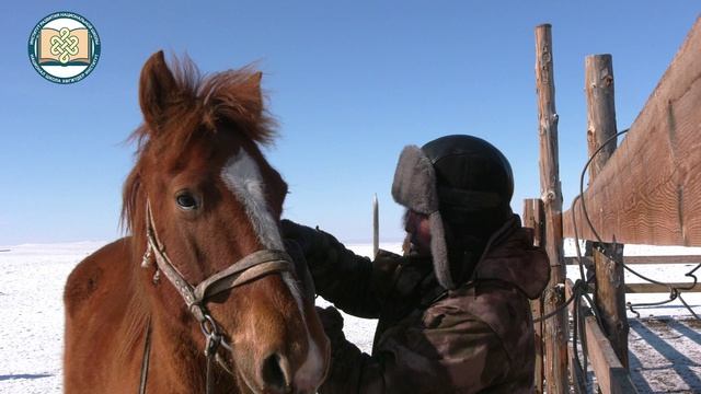 Аъттың дериг-херексели_Аът дугайында кичээл