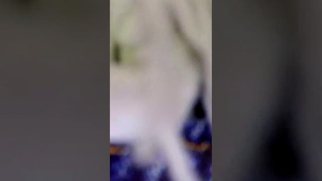 ♤Мрачная эстетика: жизнь в пасмурные дни♤ Разговор смотреть онлайн