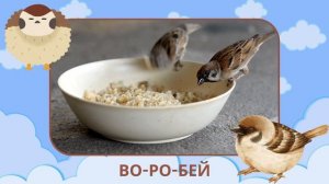 Птицы и их Голоса   Учим слова на русском   Слова для детей   Первые слова