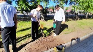 Аллея памяти: шаг в бессмертие.