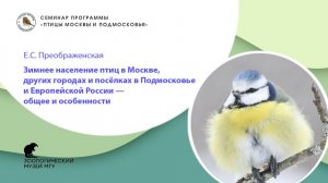 Е.С. Преображенская. Зимнее население птиц в Москве, других городах и посёлках в Подмосковье и ЕЧР