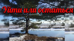 Уйти или остаться