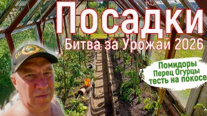 Посадки ... нагнали упущенное время! Помидоры, перец, огурцы, всё сидит на месте. Битва за Урожай 26