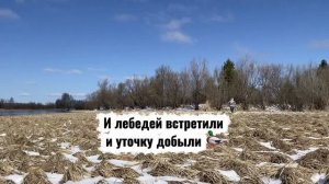 Очередная удачная охота 🦆