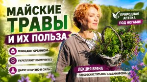 МАЙСКИЕ ТРАВЫ! - СОБИРАЕМ САМОЕ ВАЖНОЕ! - ПОЛЬЗА ЛЕЧЕБНЫХ ТРАВ