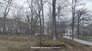 Парк «Электрон» в Петропавловске освободят от опасных деревьев