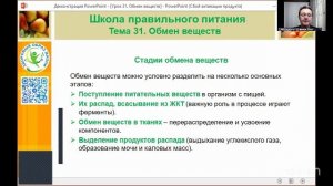 Здоровое питание 17:00 25.5