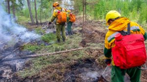 За прошедшую неделю в Югре ликвидировали 17 природных пожаров