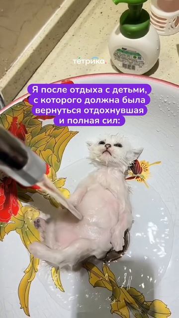 После отдыха с детьми