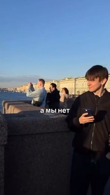 Чайка 😎