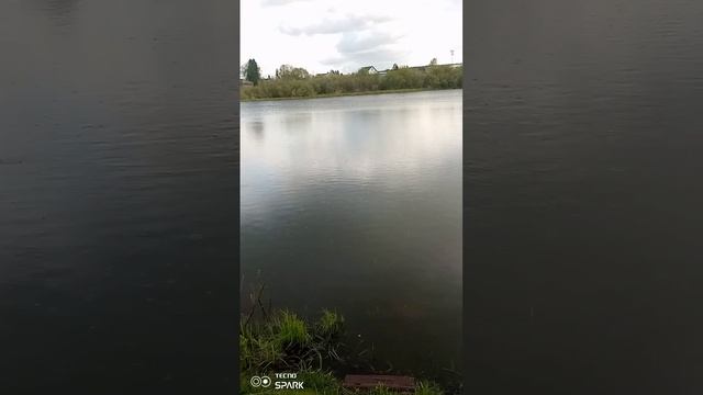 Не клюёт сегодня 😂 смотреть онлайн