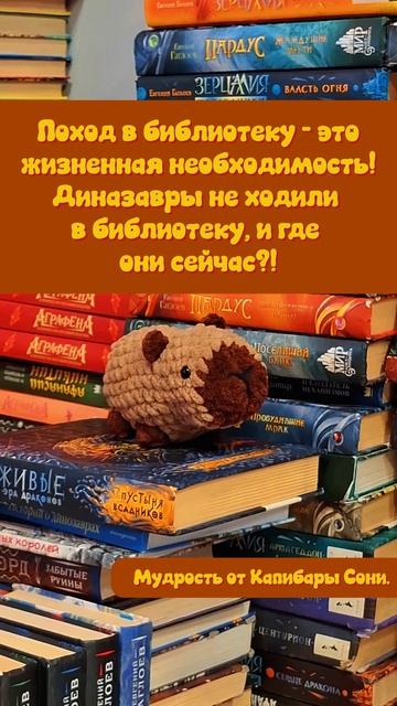 Мудрость дня😁 смотреть онлайн