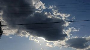 Подкармливаю растения 🌿⛅🌷🌳