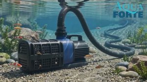 Насос для пруда низковольтный регулируемый Prime Vario 20.000LV, 12V (Aquaforte)